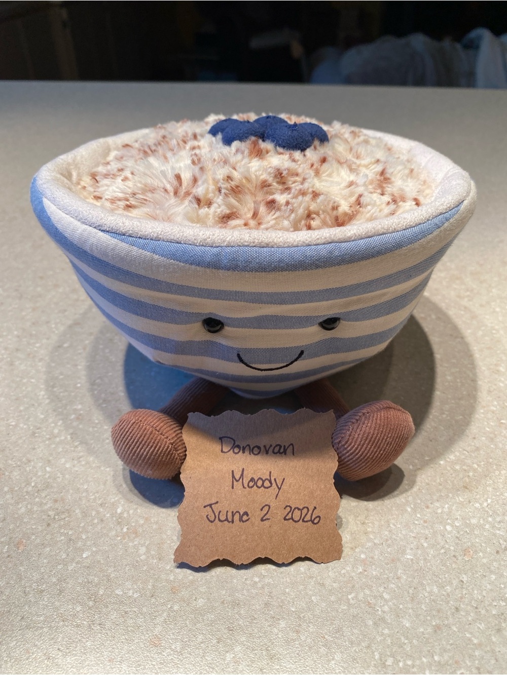 Jellycat Amusables Oats